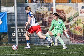 Bild 213 - wBJ Hamburger SV - Hertha BSC : Ergebnis: 2:1